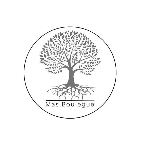 Gite Mas De Boulegue Saint-Pantaleon-les-Vignes Holiday home